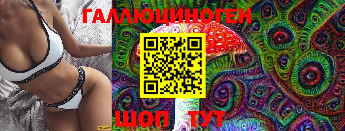 Псилоцибиновые грибы GOLDEN TEACHER Калининград