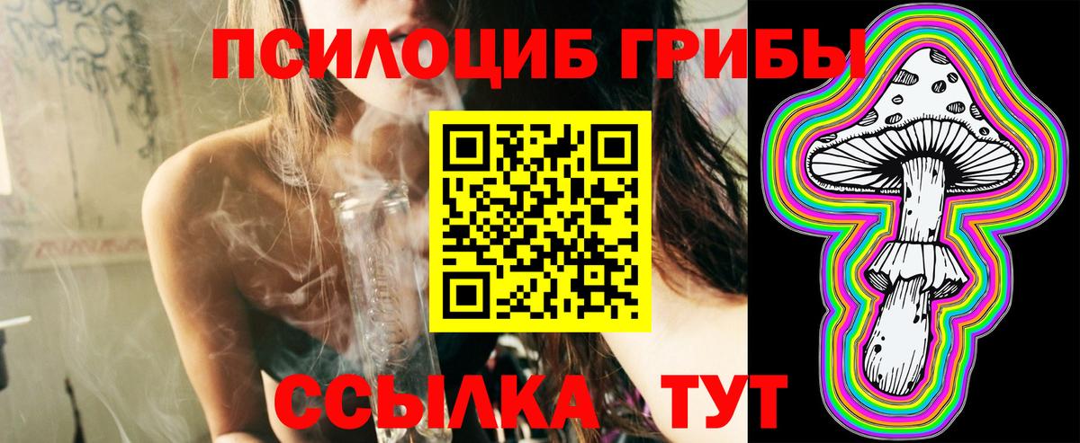 Калининград  Псилоцибиновые грибы Psilocybine cubensis  Вход с VPN 